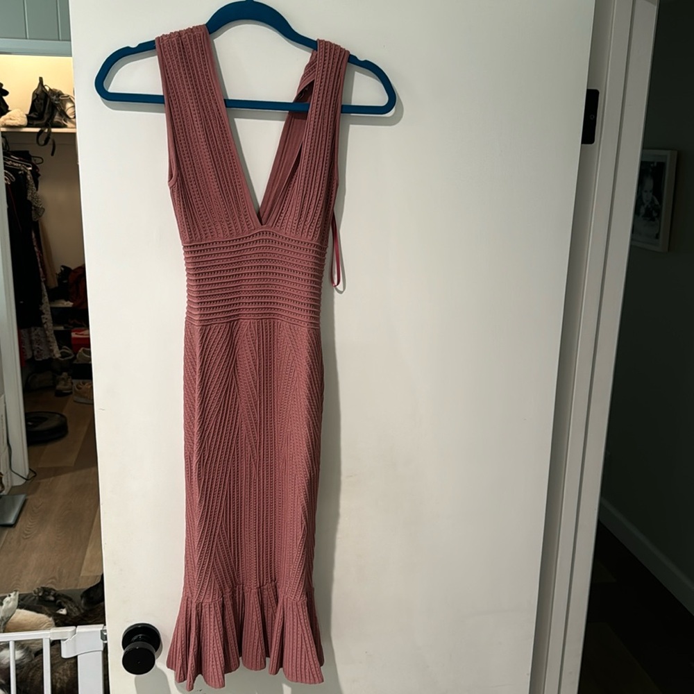 Ronny kobo dress